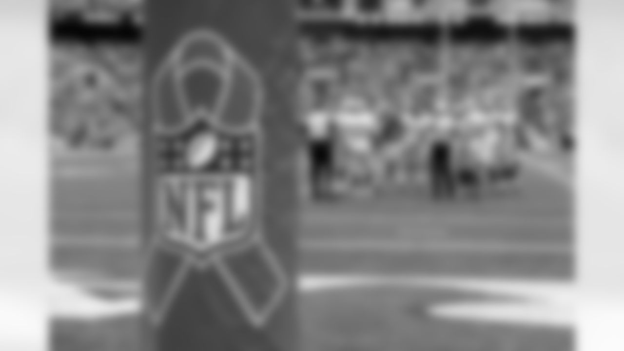 2013 - Packers at Ravens