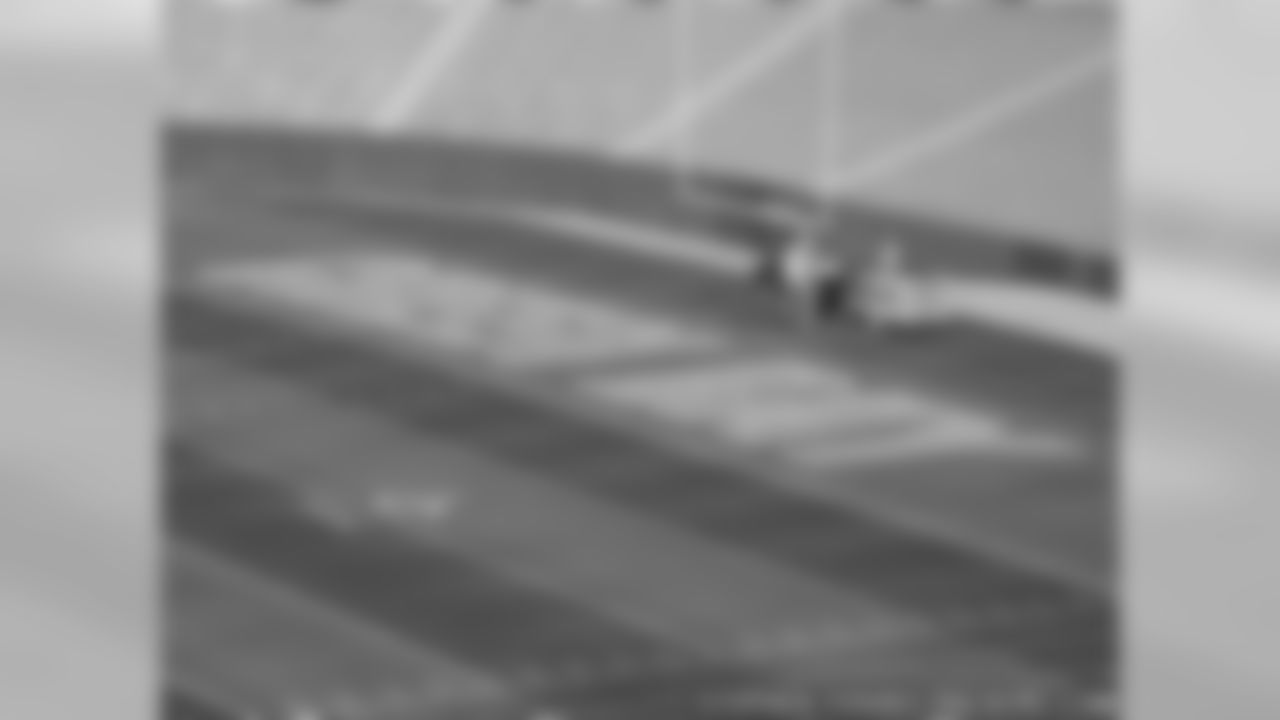 Painting Lambeau