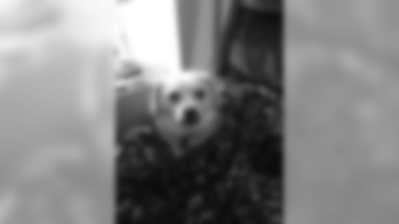 200323-national-puppy-day-12