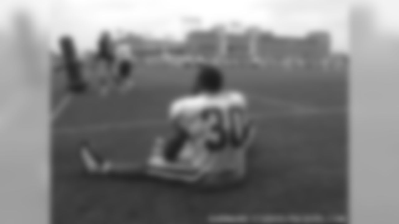 Ahman Green
