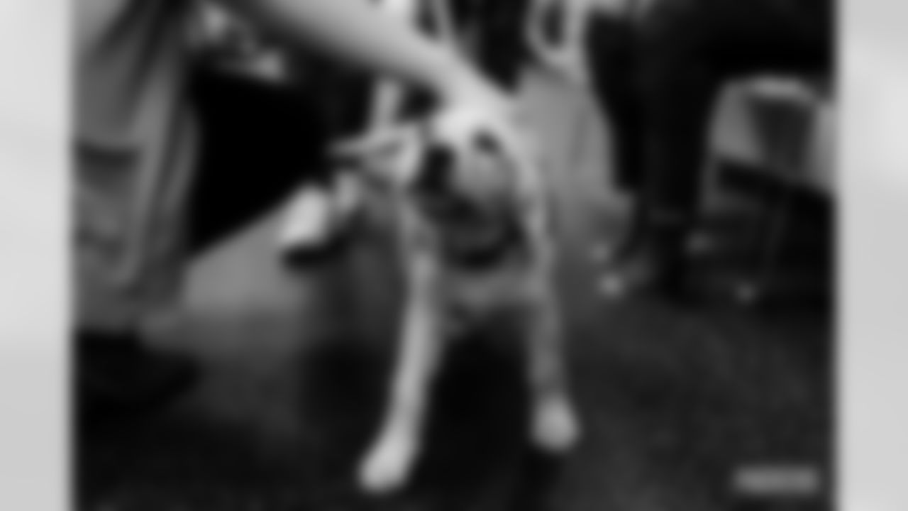 221102-k9-gallery-2560024