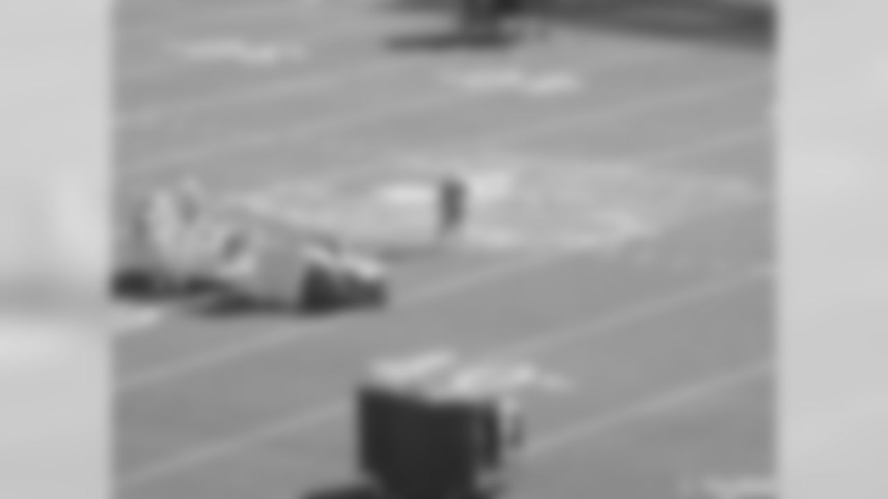 'Rebirth of a Legend' Logo Painted On Lambeau Field