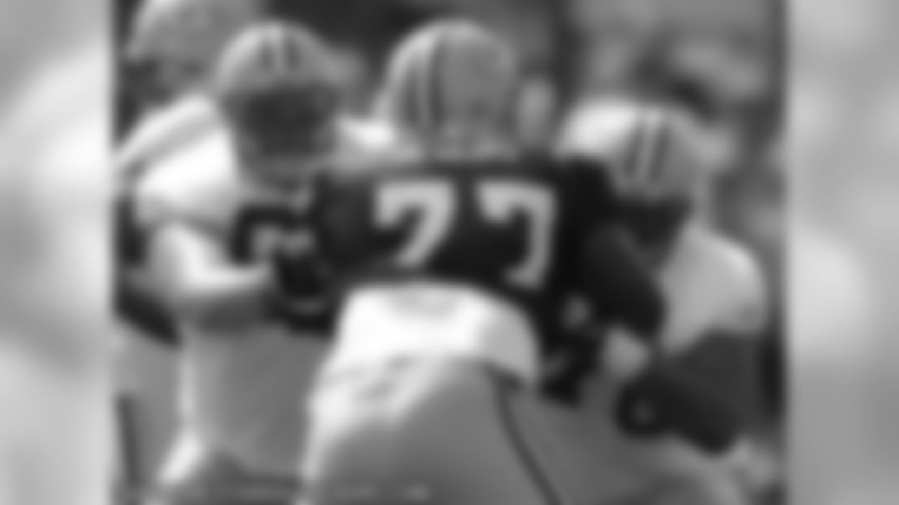 DT/DE Cullen Jenkins