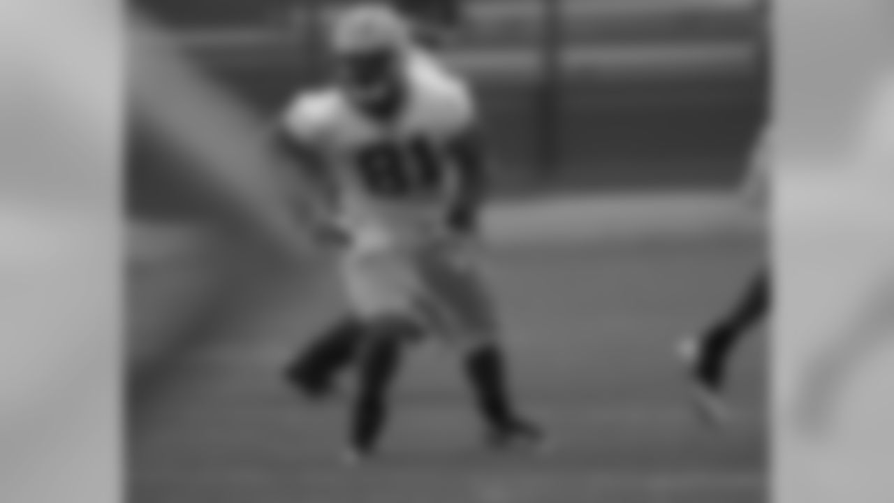 Andrew Quarless