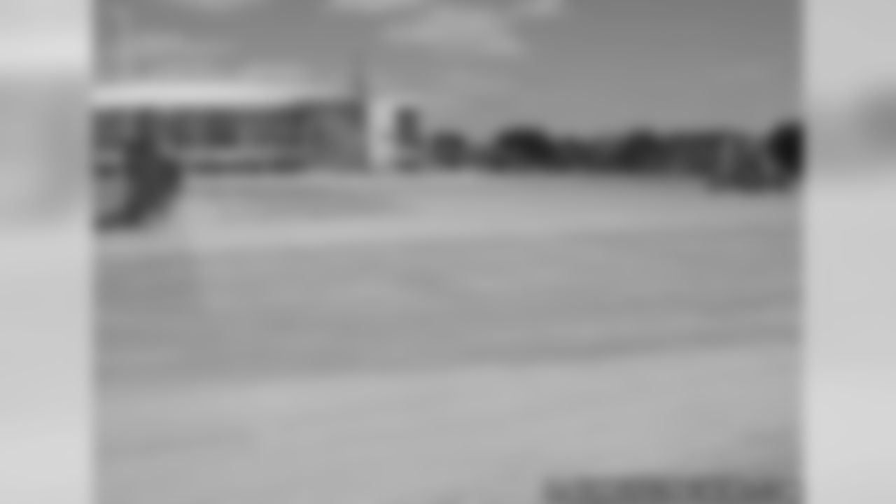 Ray Nitschke Field Renovations