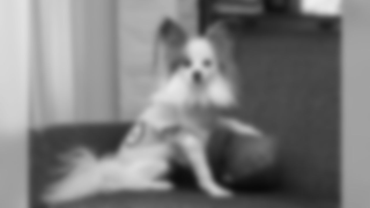 180716-packers-pets-27