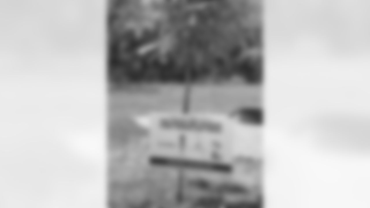 230623-trees-gallery-2560-15