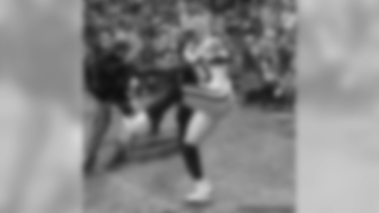 WR Donald Driver