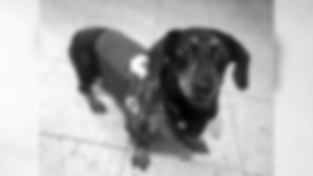 200323-national-puppy-day-09