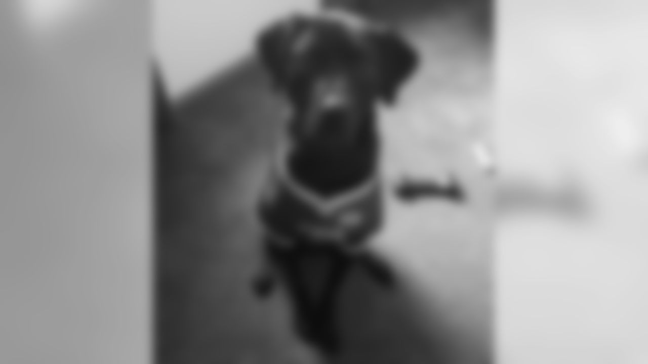 200323-3-national-puppy-day-01