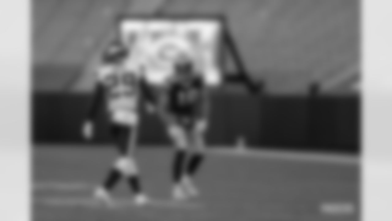 201101-packers-vikings-4-siegle-WM-016