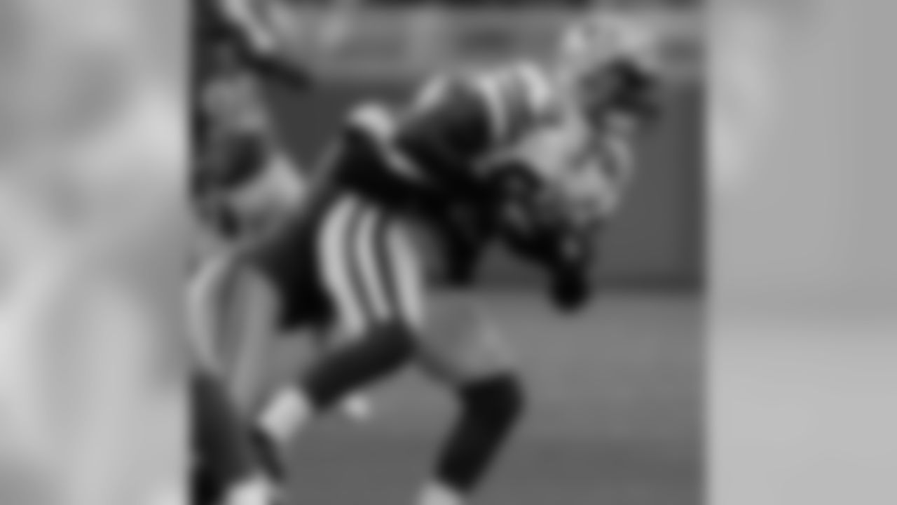 Green Bay Packers wide receiver James Jones makes a catch against the Lions