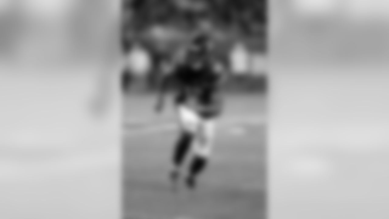Bears WR Allen Robinson II