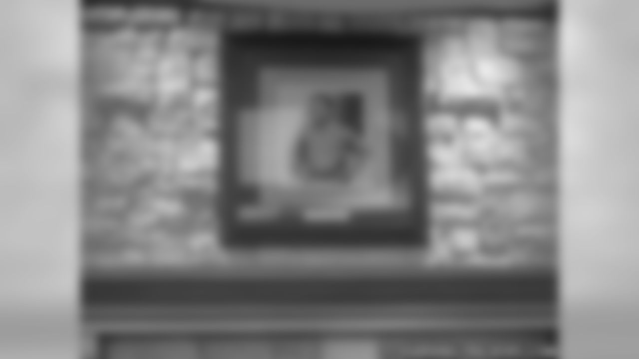 Lambeau Portrait