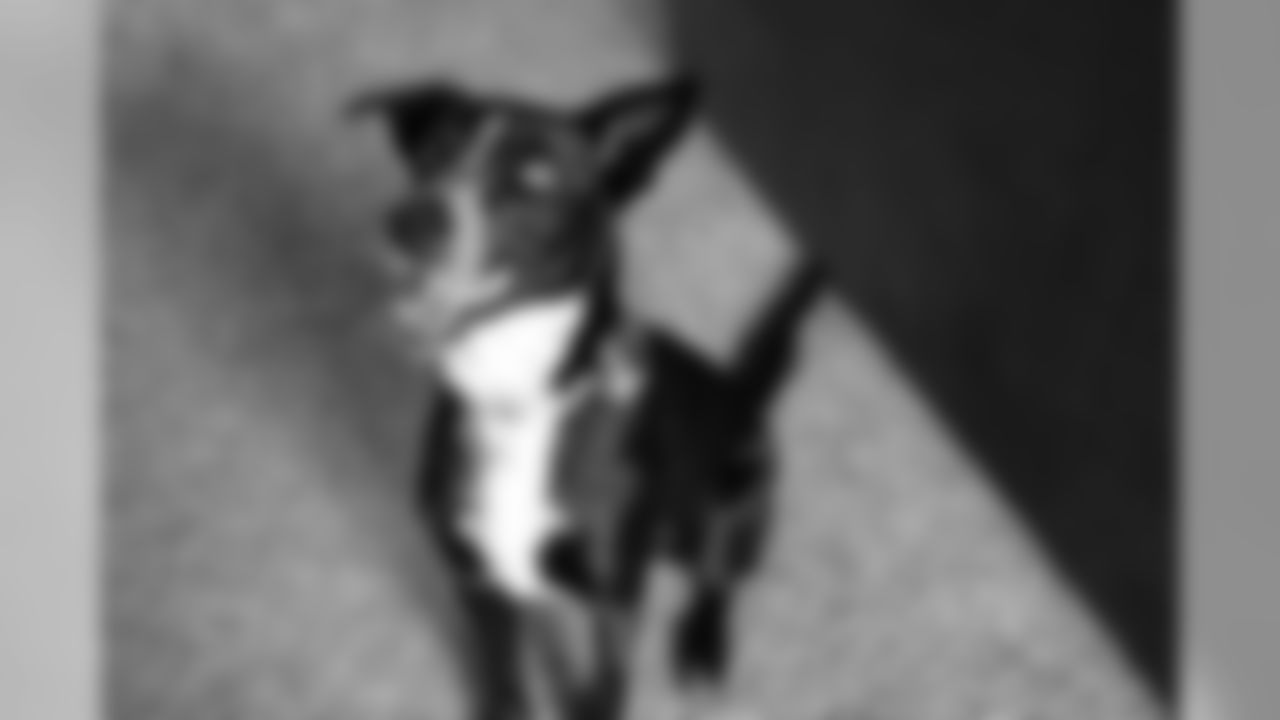 200323-national-puppy-day-13