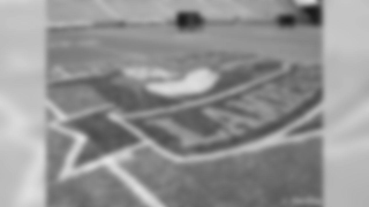 'Rebirth of a Legend' Logo Painted On Lambeau Field