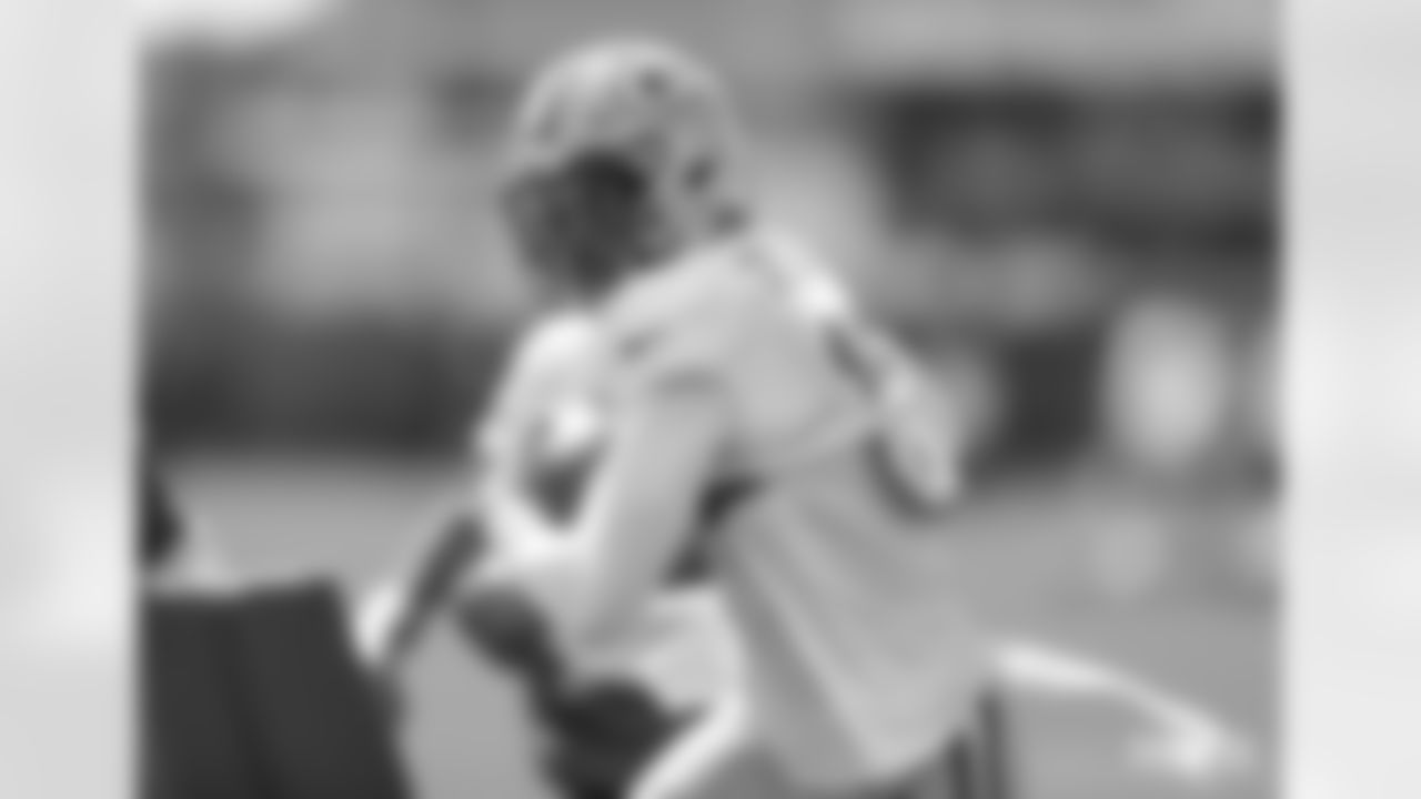 WR Equanimeous St. Brown