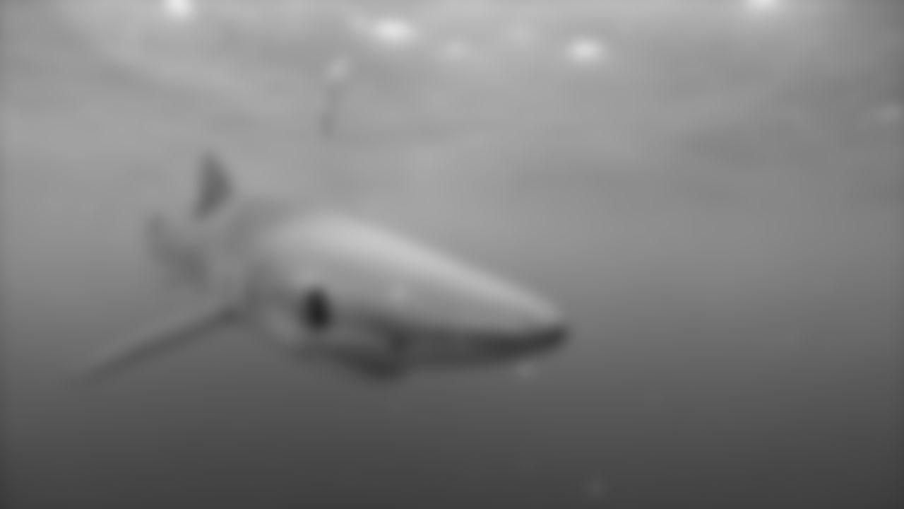 180724-sharks-rodgers-005