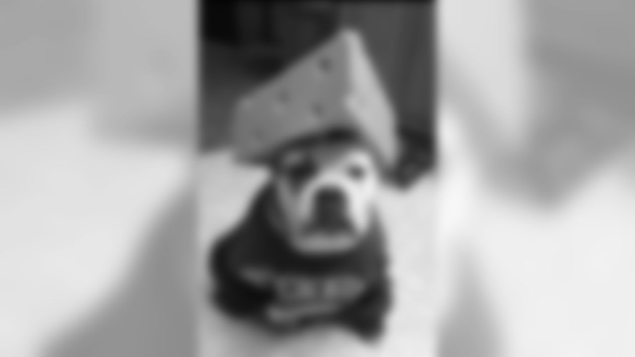 200323-national-puppy-day-14