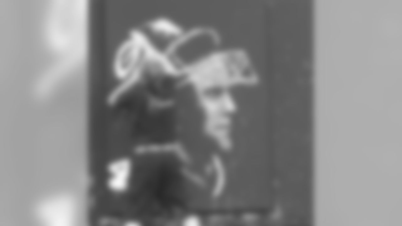 Unique Favre Portrait From Packers Family Night Auctioned Online