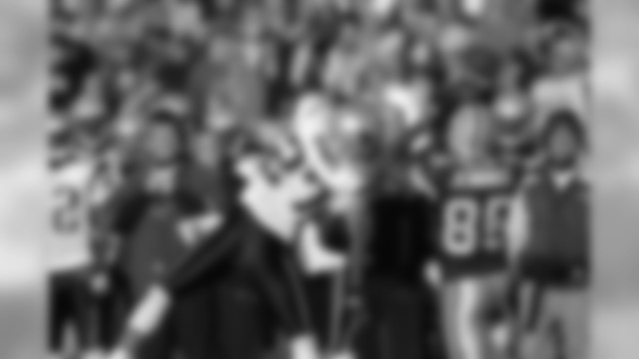 2006 - Packers vs. Patriots