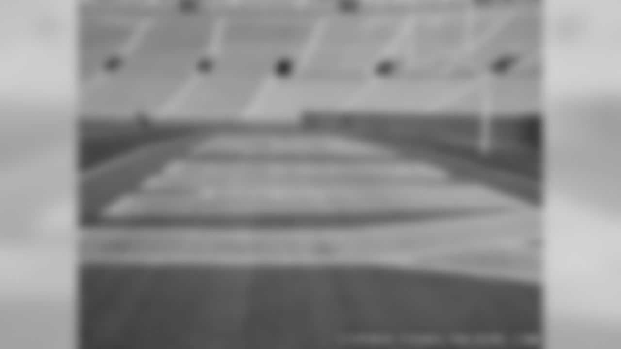 Painting Lambeau