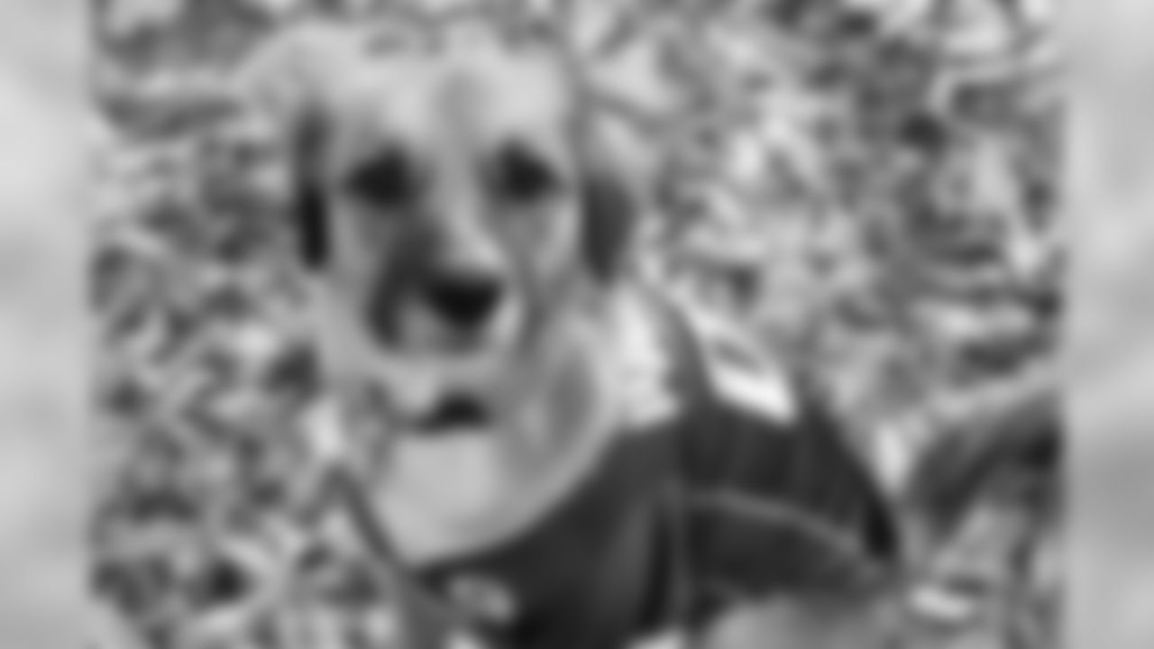 200323-national-puppy-day-02