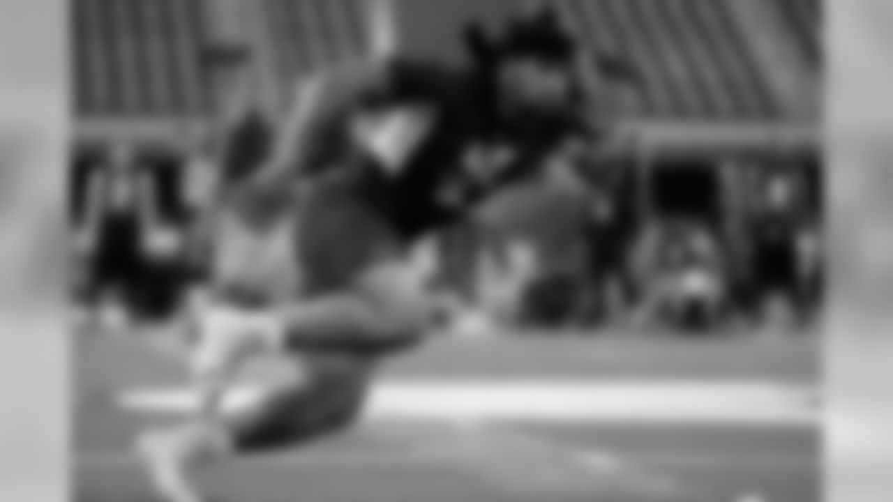 DL- Robert Nkemdiche