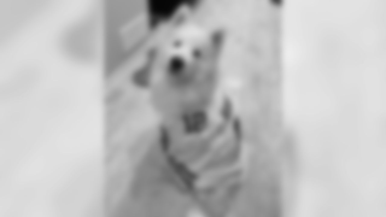 200323-national-puppy-day-07