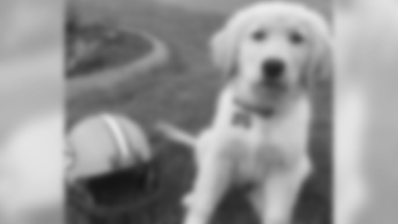180716-packers-pets-29