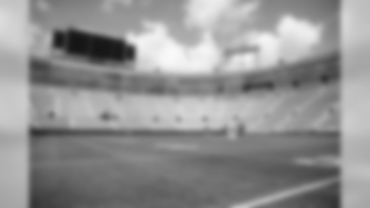 180808-lambeau-field-painting-02