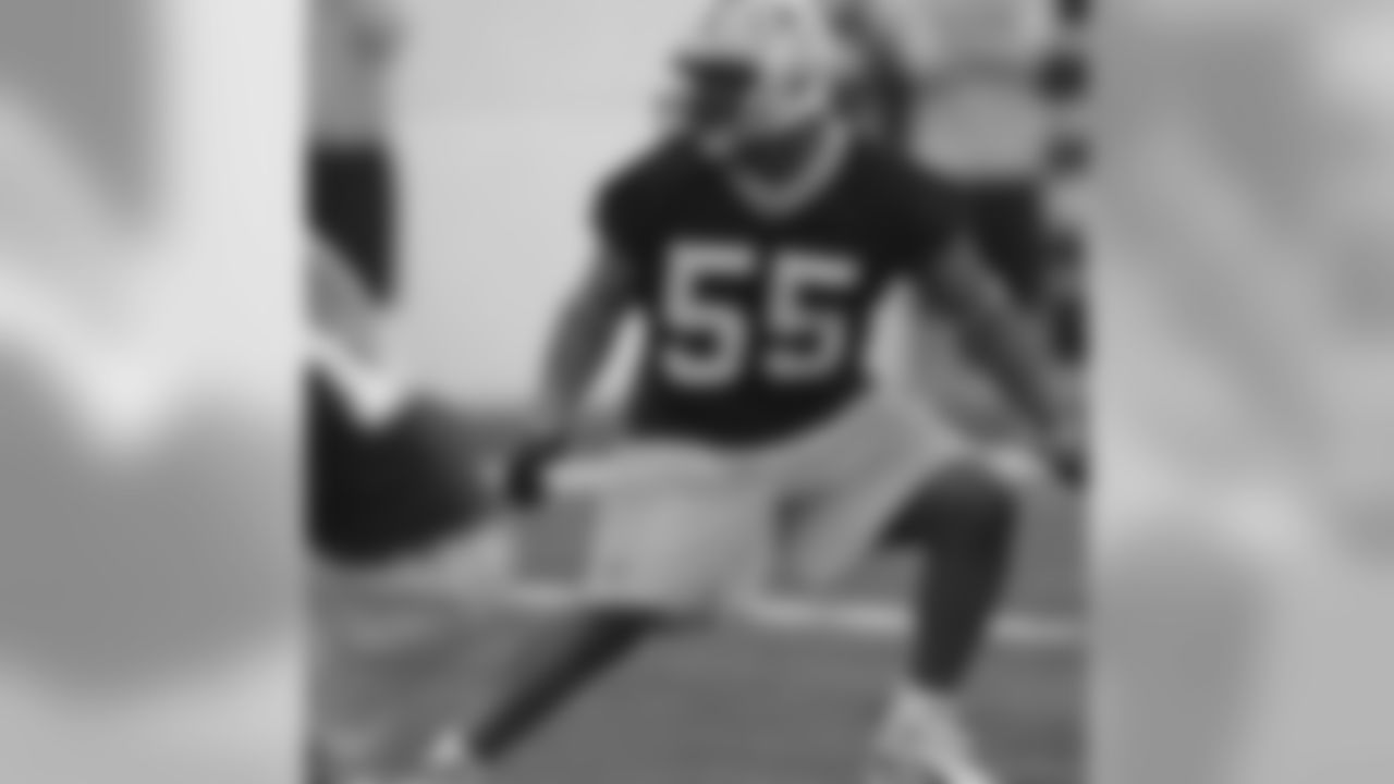 LB Desmond Bishop