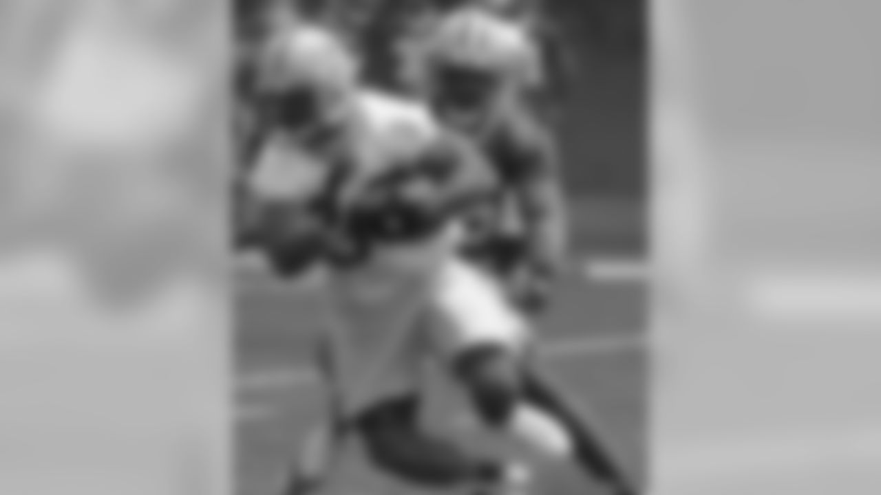 Ahman Green