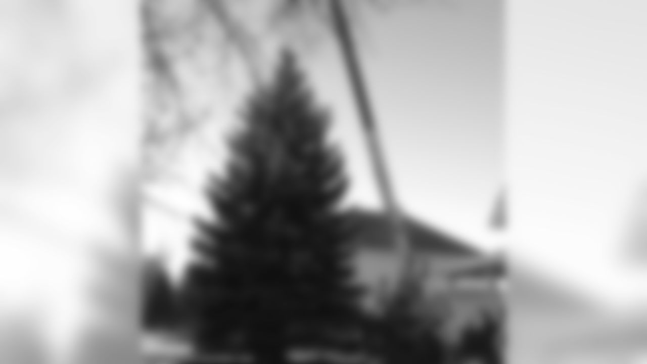 Festival of Lights Tree