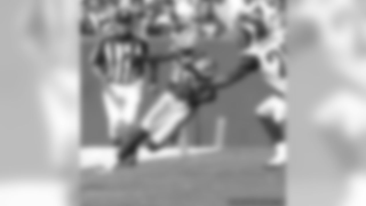 WR Donald Driver