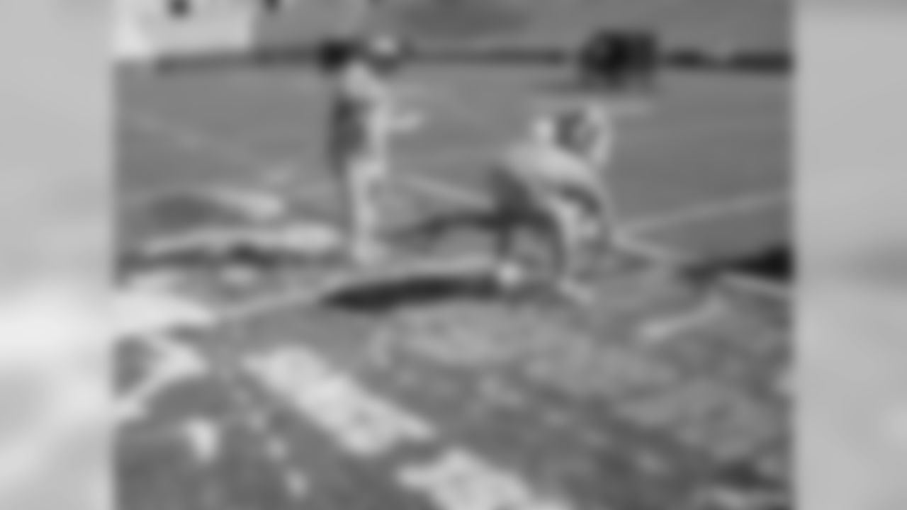 'Rebirth of a Legend' Logo Painted On Lambeau Field