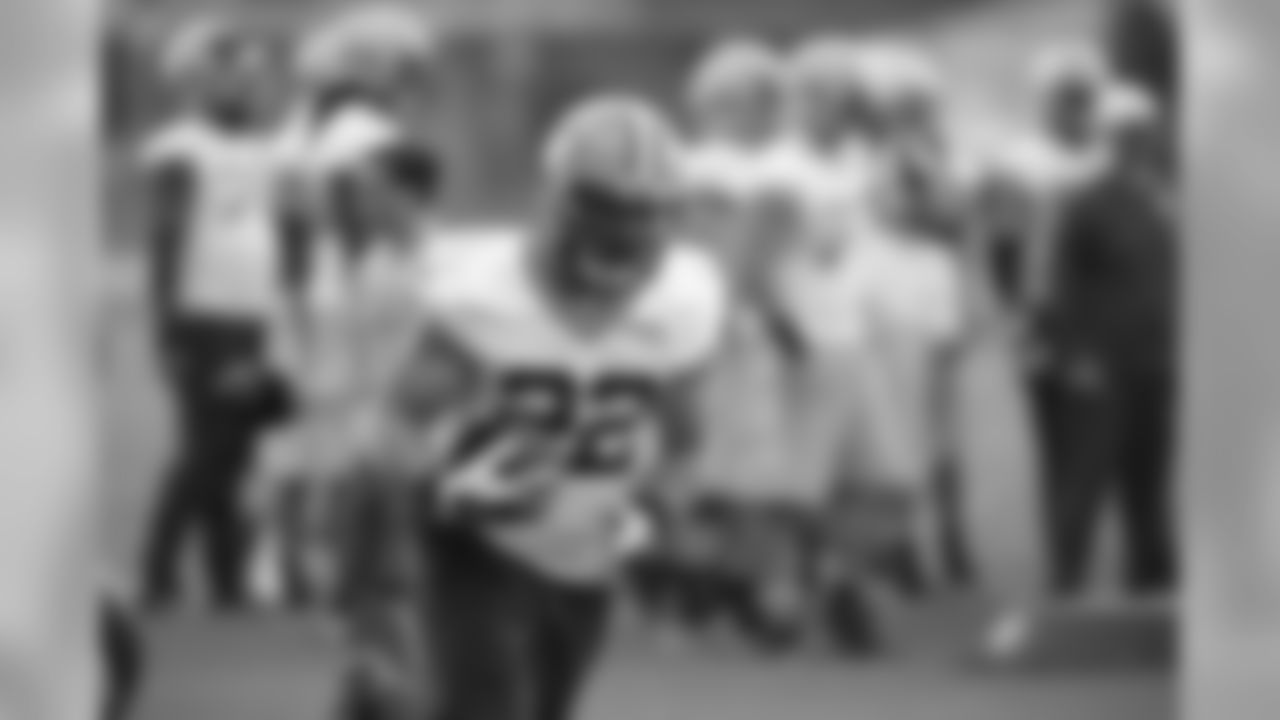 FB Aaron Ripkowski (#22)