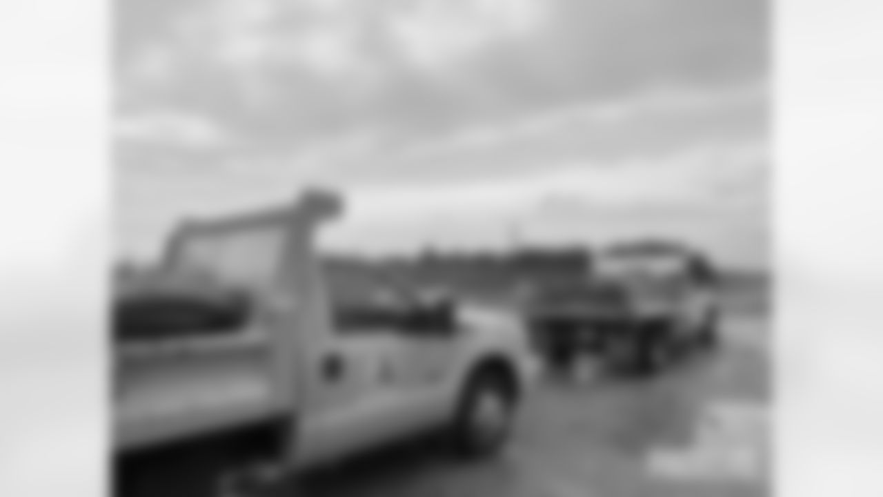 230420-trees-gallery-2560-1