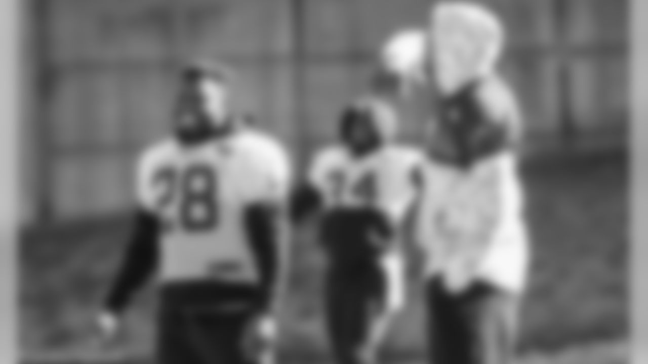 RB Jonathan Stewart