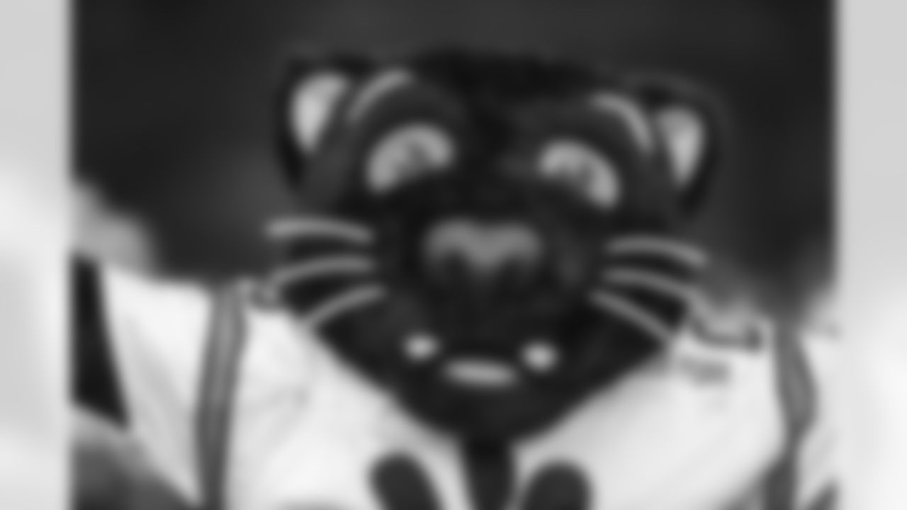 Sir Purr