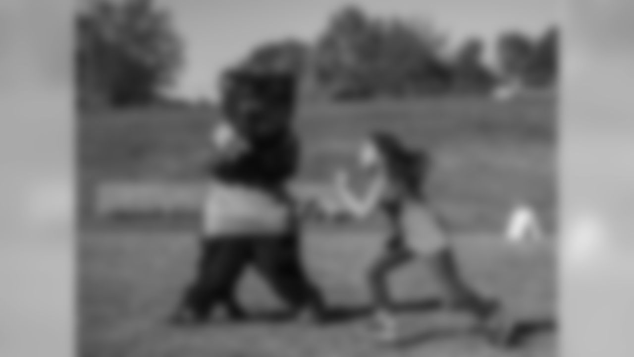 Sir Purr
