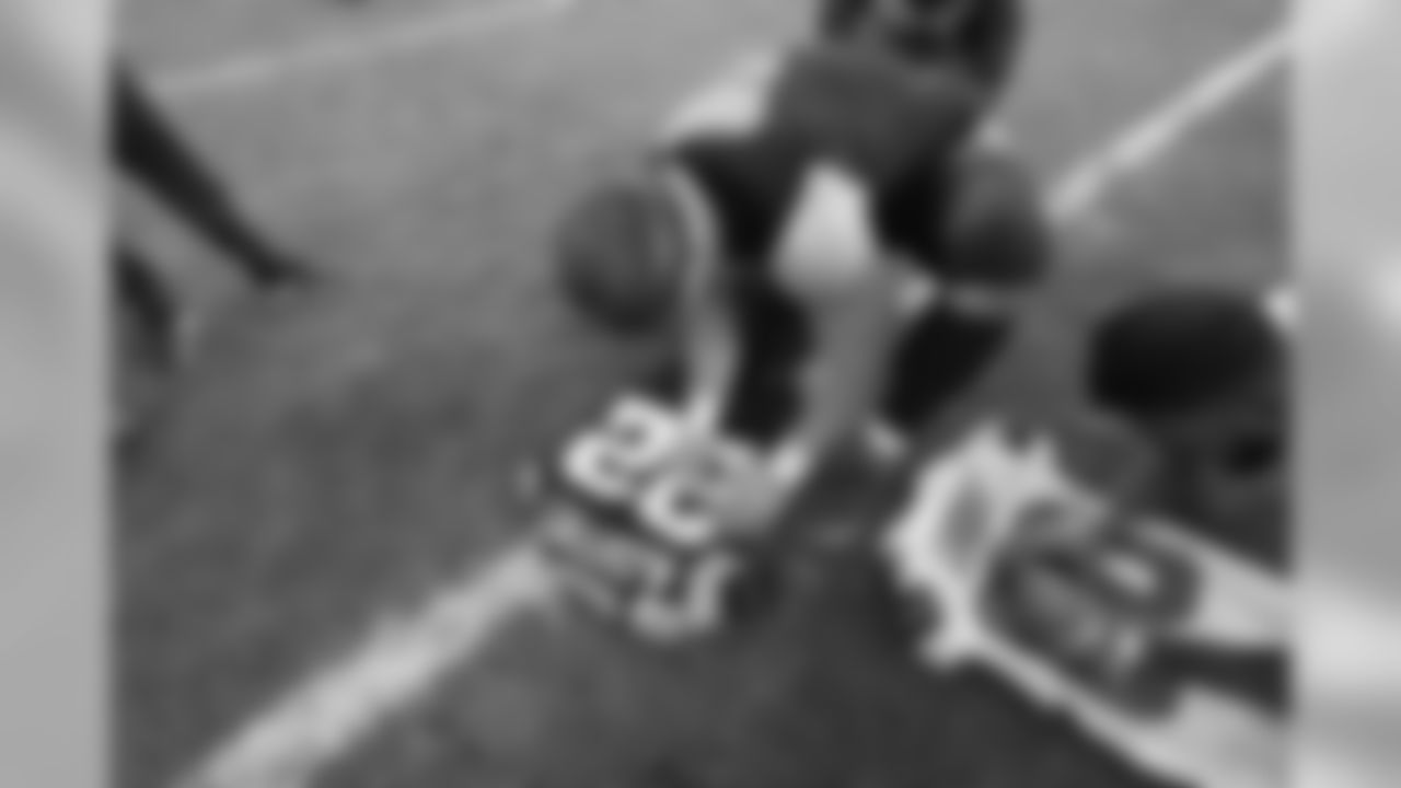 CARatCLE_7213