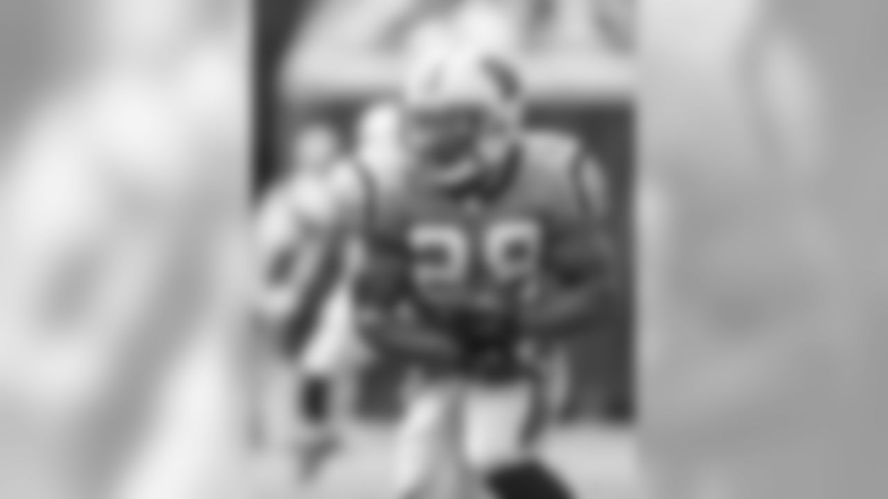 RB Jonathan Stewart