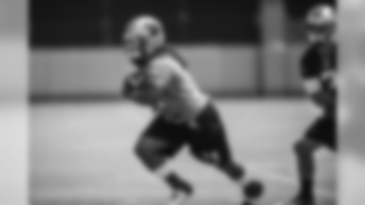 RB DeAngelo Williams