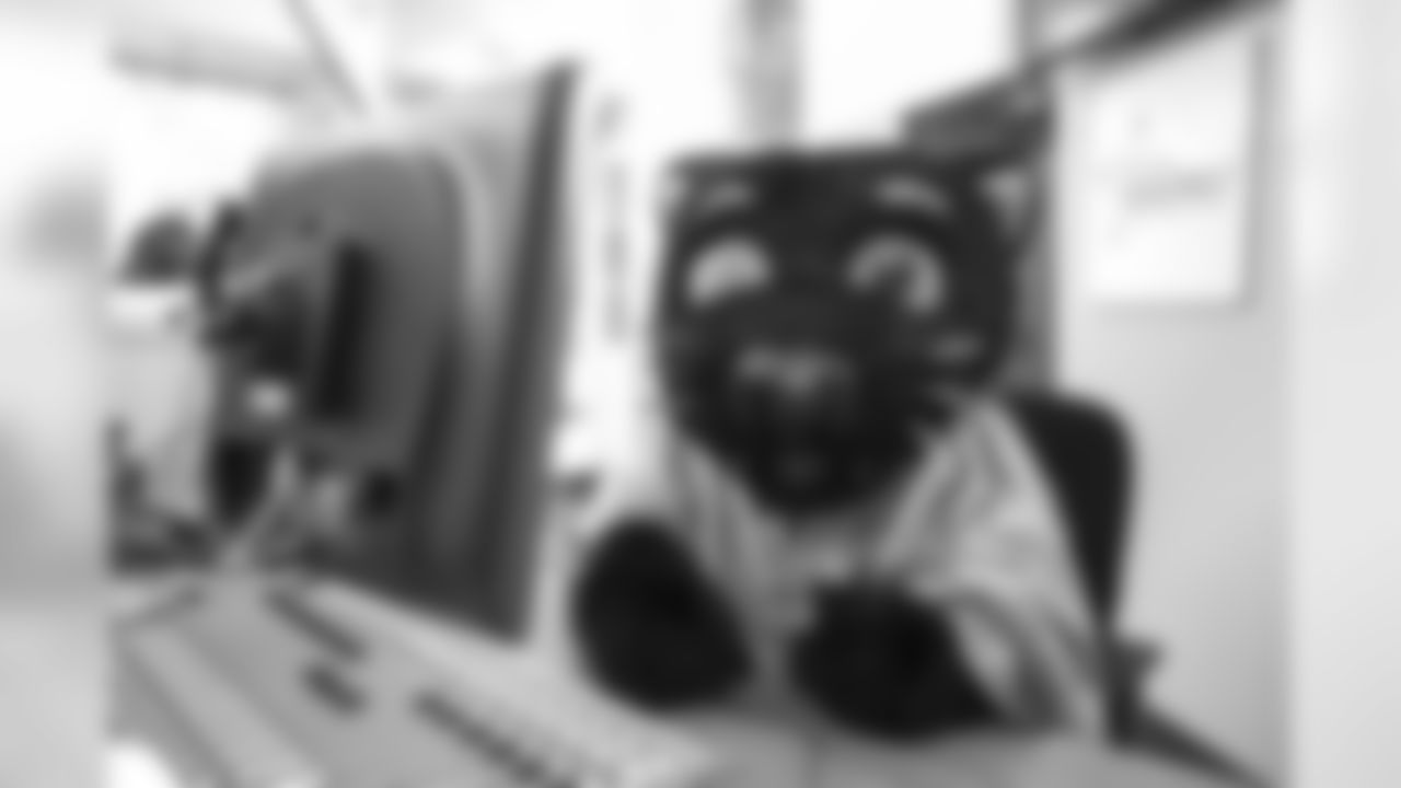 Sir Purr as himself