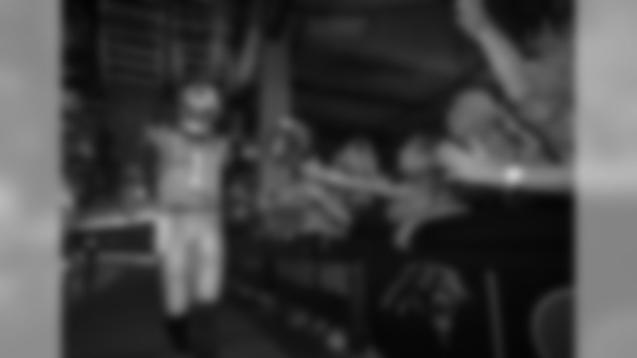 Panthers Fan Zone Experience
