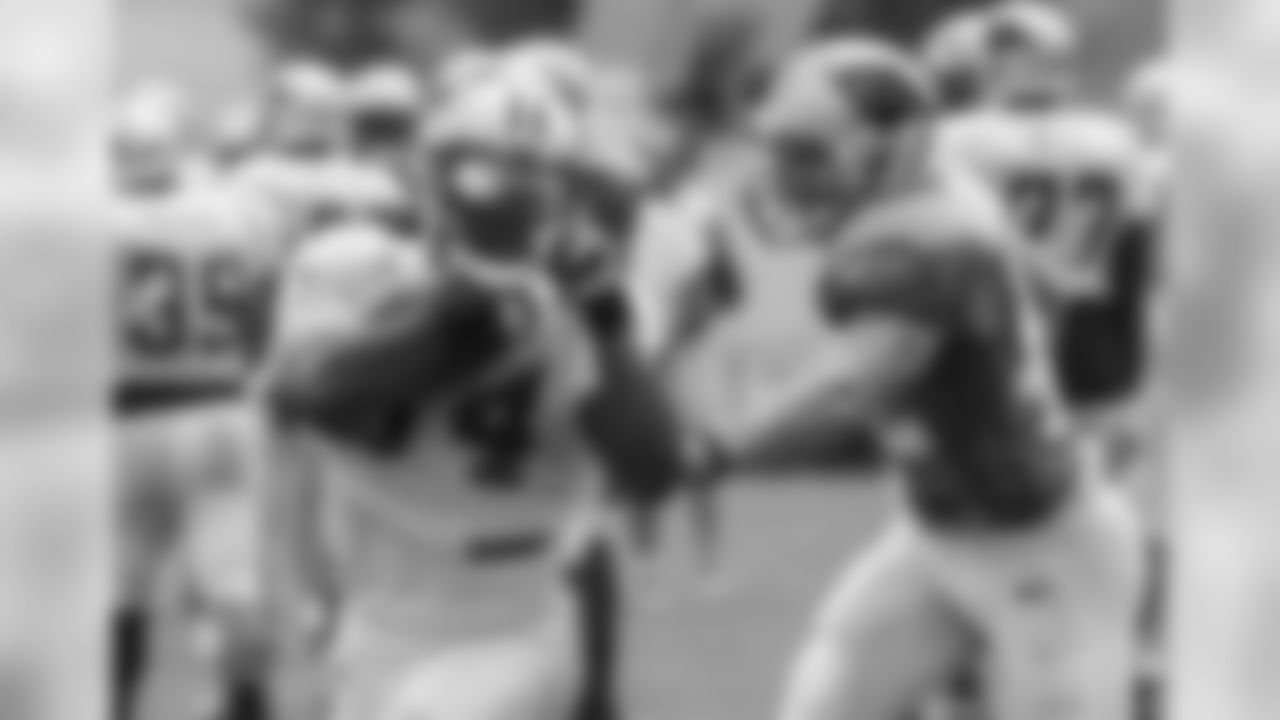 RB DeAngelo Williams