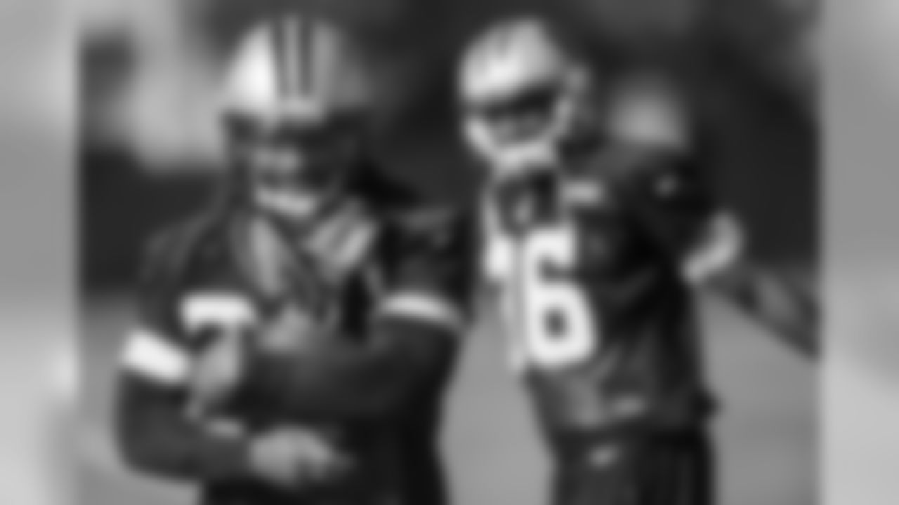 RB DeAngelo Williams
