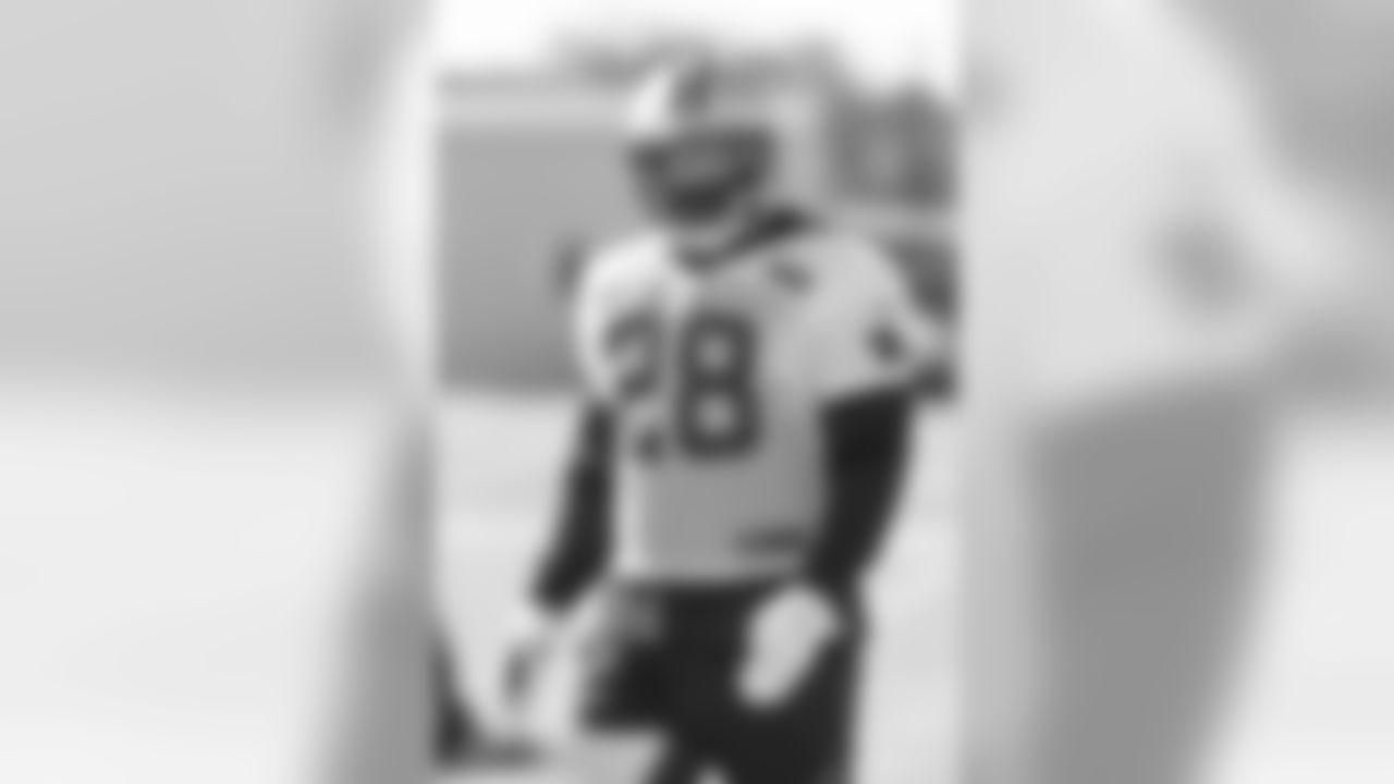 RB Jonathan Stewart