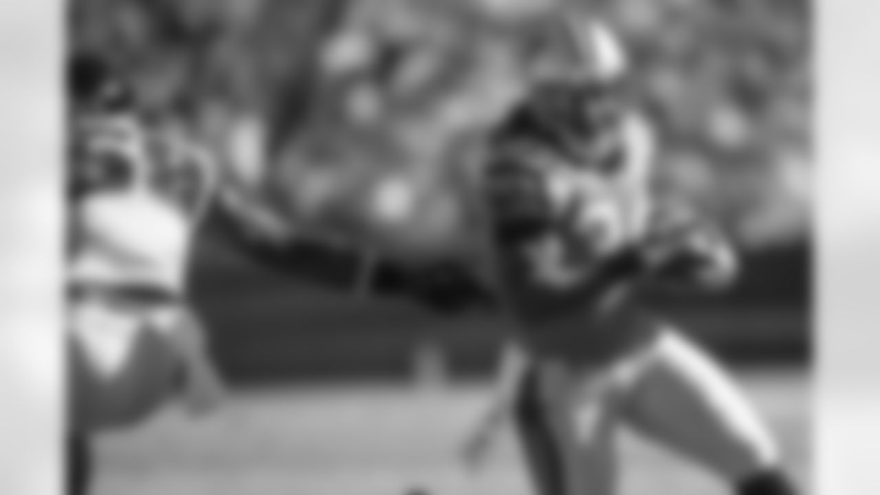 RB DeAngelo Williams